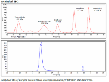 HLA-A2 mAb (BB7.2), InVivoPure+