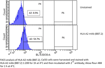 HLA-A2 mAb (BB7.2), InVivoPure+