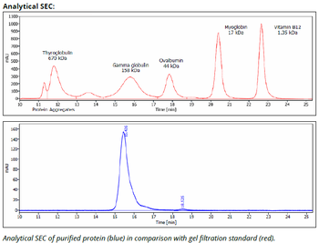 CD71 mAb (R17 217.1.3), InVivoPure