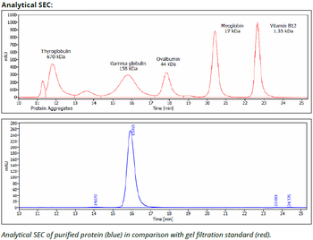 CD47 mAb (B6H12.2), InVivoPure