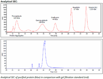 HLA-DQ mAb (SPV-L3), InVivoPure+