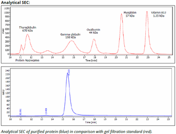 H-2 Kb/Db mAb (28-8-6S), InVivoPure+