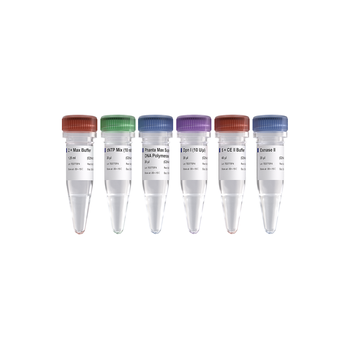 Vazyme - Mut Express II Fast Mutagenesis Kit V2