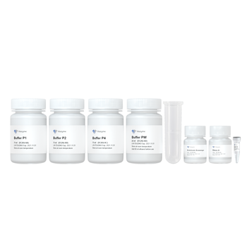 Vazyme - FastPure EndoFree Plasmid Maxi Kit