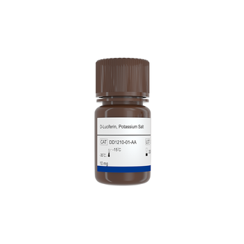 Vazyme - D-Luciferin，Potassium Salt