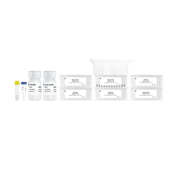Vazyme - Lysis Buffer Pro
