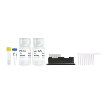 Vazyme - VAMNE Magnetic Stool/Soil DNA Extraction Kit (Prepackaged)