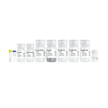 Vazyme - VAMNE Magnetic Stool/Soil DNA Extraction Kit (Prepackaged)