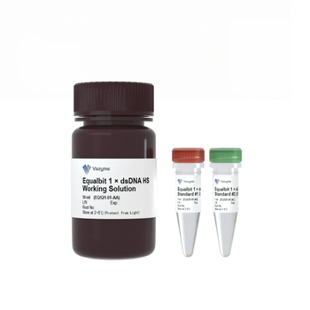 Vazyme - Equalbit 1 × dsDNA HS Assay Kit