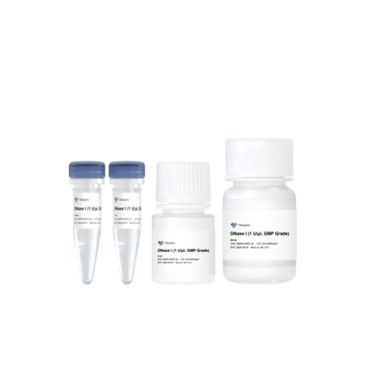 Vazyme - DNase I (1 U/μl, GMP Grade)
