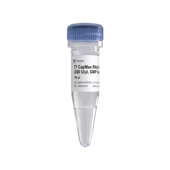 Vazyme - T7 CapMax RNA Polymerase (200 U/μl, GMP Grade)