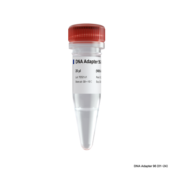 Vazyme - VAHTS DNA Adapters Set 6 for Illumina