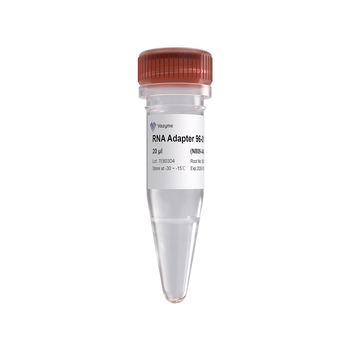 Vazyme - VAHTS RNA Adapters set 4 for Illumina