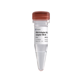 Vazyme - VAHTS RNA Adapters set 4 for Illumina