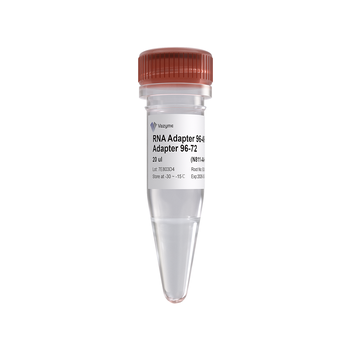 Vazyme - VAHTS RNA Adapters set 4 for Illumina