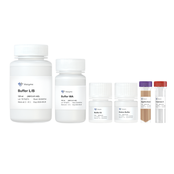 Vazyme - VAMNE MagUltra Circulating Cell-free DNA Isolation Kit