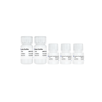 Vazyme - Hyperactive Plant Nuclear Extraction Kit