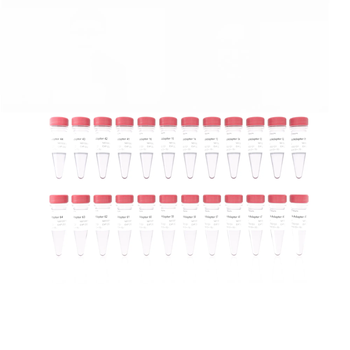 Vazyme - VAHTS PCR-Free DNA Adapters Set 4 for MGI
