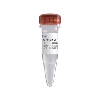 Vazyme - VAHTS RNA Adapters Set 8 for MGI
