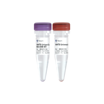 Vazyme - VAHTS Maxi Unique Dual Barcode Primers Set 4 for MGI
