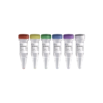 Vazyme - VAHTS Library Quantification Kit for Illumina DNA Standard 1 - 6
