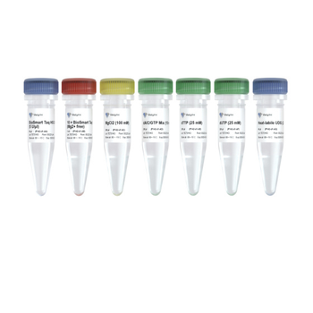 Vazyme - BioSmart U+ Taq HS DNA Polymerase