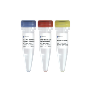 Vazyme - Bst II Pro DNA Polymerase Large Fragment (Glycerol-free)