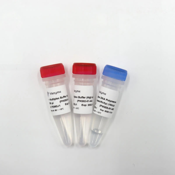 Vazyme - Taq Pro Multiplex DNA Polymerase (High specificity)