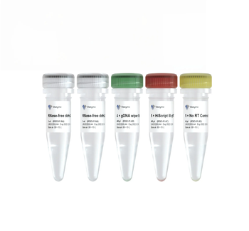 Vazyme - HiScript III RT SuperMix for qPCR (+gDNA wiper)