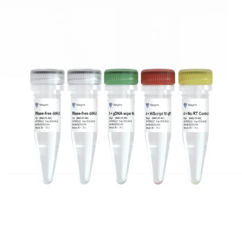 Vazyme - HiScript IV RT SuperMix for qPCR (+gDNA wiper)