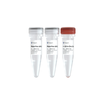 Vazyme - HiScript IV All-in-One Ultra RT SuperMix for qPCR