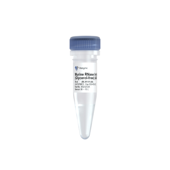 Vazyme - Murine RNase Inhibitor (Glycerol-free)
