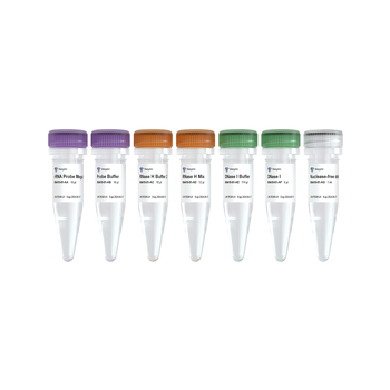 Vazyme - Ribo-clean rRNA Depletion Kit Mega (Fungi)