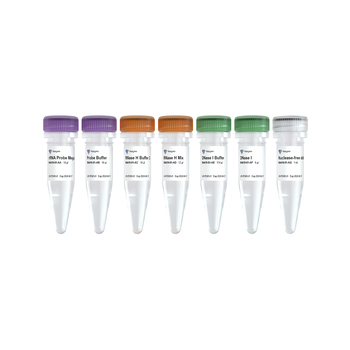 Vazyme - Ribo-clean rRNA Depletion Kit Mega (Plant)
