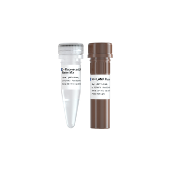 Vazyme - Fluorescent LAMP/RT-LAMP Kit