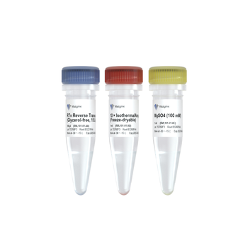 Vazyme - RTv Reverse Transcriptase (Glycerol-free)