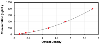 Human AFM ELISA Kit (Ready to Use)