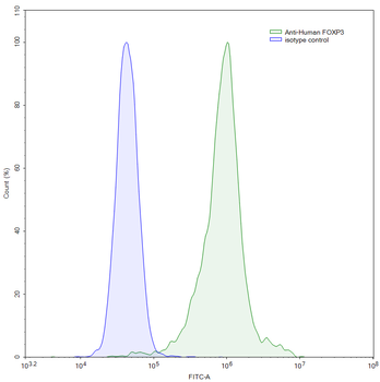 FOXP3 Monoclonal Mouse Monoclonal Antibody