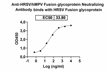 HRSV/hMPV Fusion glycoprotein Neutralizing Human Monoclonal Antibody