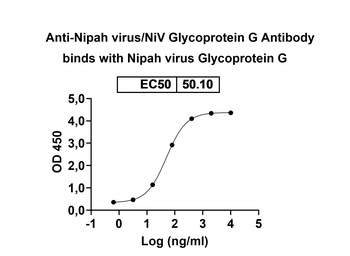 Nipah virus/NiV Glycoprotein G Human Monoclonal Antibody
