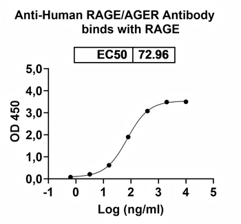 RAGE/AGER Mouse Monoclonal Antibody