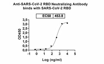 SARS-CoV-2 RBD (JN.1) Neutralizing Human Monoclonal Antibody