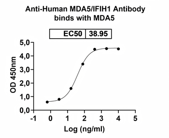 MDA5/IFIH1 Human Monoclonal Antibody