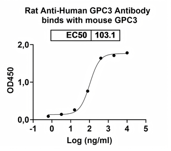 GPC3 Rat Monoclonal Antibody