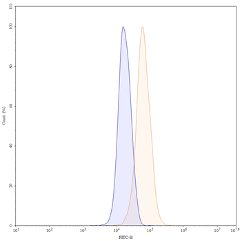 MAPT/Tau/PHF-tau Mouse Monoclonal Antibody
