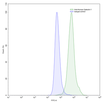 Gal1/LGALS1 Mouse Monoclonal Antibody