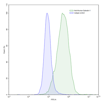 Gal1/LGALS1 Mouse Monoclonal Antibody