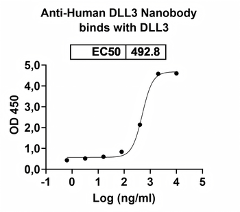DLL3 Camelus Monoclonal Antibody