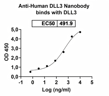 DLL3 Camelus Monoclonal Antibody