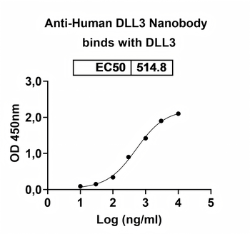 DLL3 Camelus Monoclonal Antibody